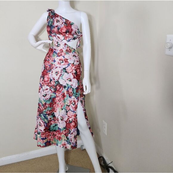 Showpo dress  - Picture 13 of 13